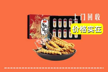 包头固阳县回收冬虫夏草